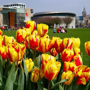 De Hallen Amsterdam